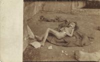 Postcard 323
