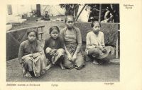 Postcard 451