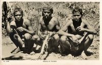Postcard 476