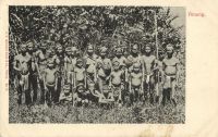 Postcard 480