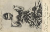 Postcard 481