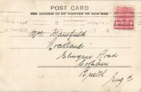 Postcard 481
