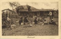 Postcard 509