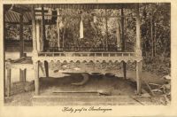 Postcard 511