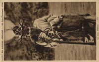 Postcard 534