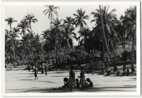 Postcard 546