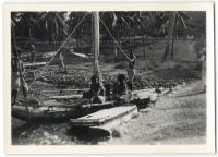Postcard 551