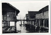 Postcard 559
