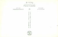 Postcard 597b